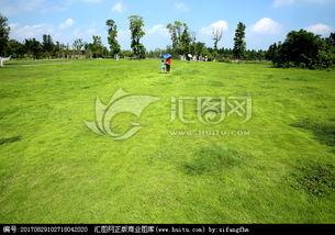 青青青草国产免费观看,国产免费观看,绿色生态影视盛宴